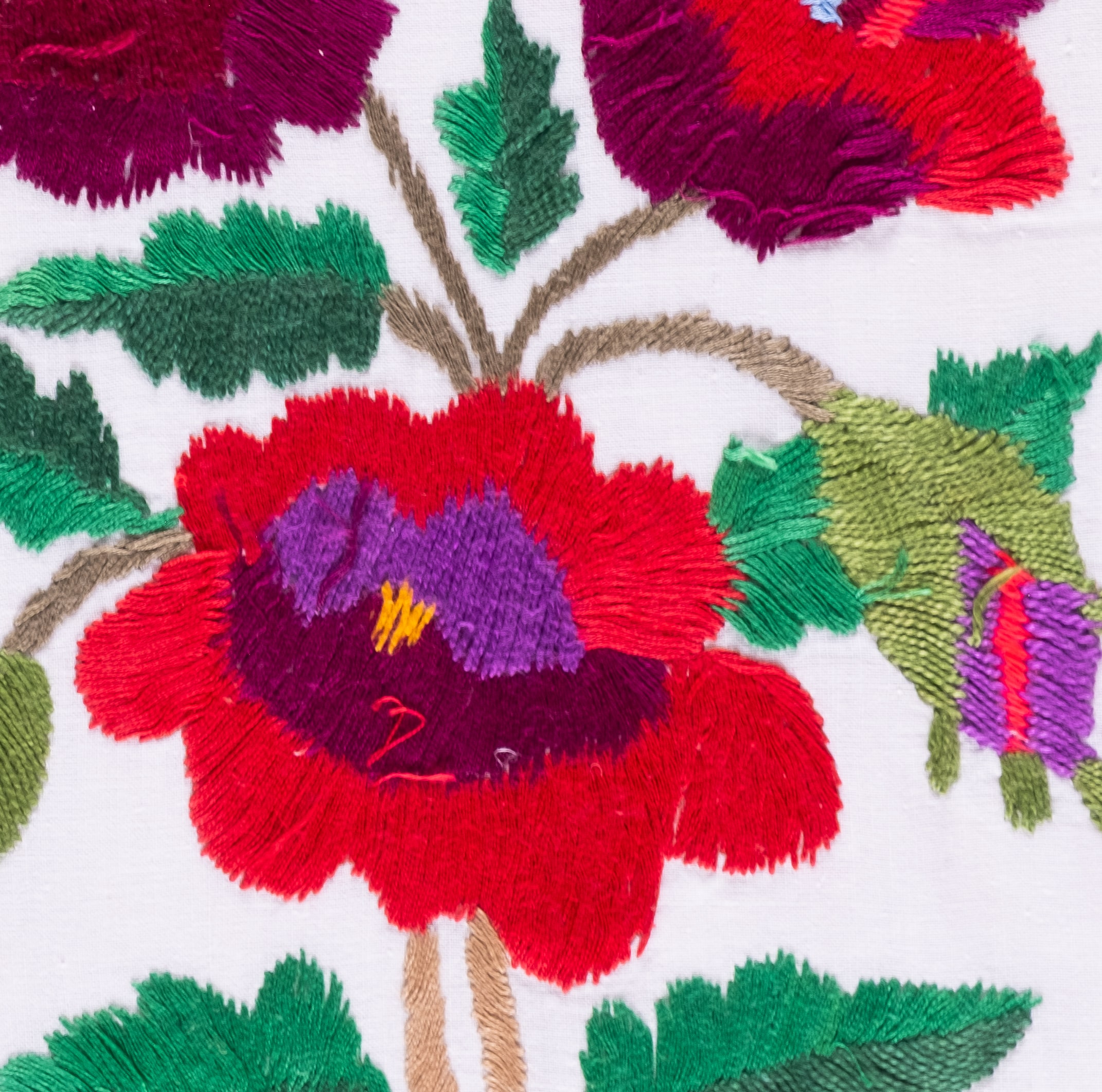 Macro